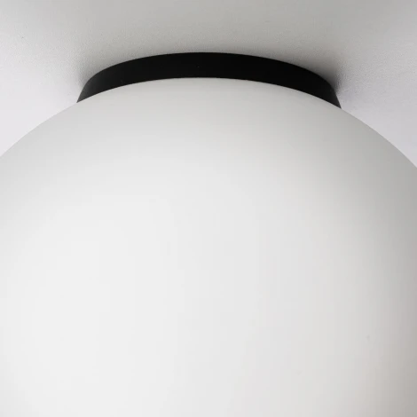 Настенно-потолочный светильник Citilux Ron CL941D20B5