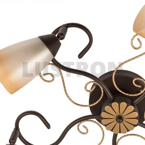 Потолочная люстра MW-Light Аида 323014805