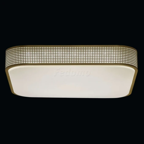 Потолочный светильник MW-Light Ривз 674015701