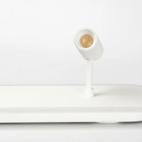 Потолочный светильник со спотом Lussole Harris LSP-7278 (LED, 220V)