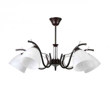 Потолочная люстра Lampex Bristol 272/5 WEN