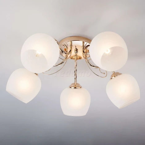 Потолочная люстра Eurosvet Wendy 30138/5 золото (220V)