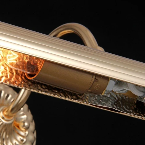 Подсветка для картин Maytoni Renoir PIC118-22-G