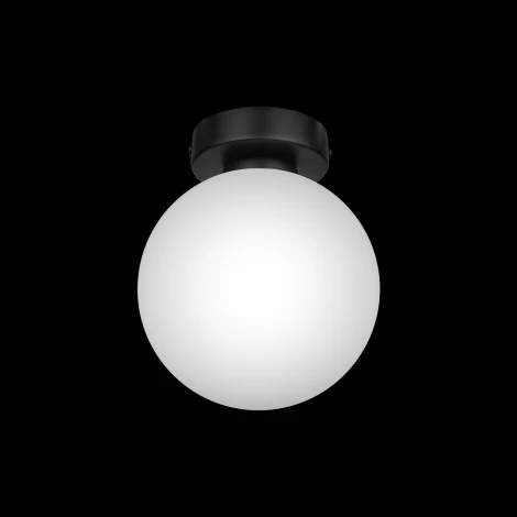 Настенно-потолочный светильник 33 Идеи WLL105.17BL-S32WH (220V, шар)