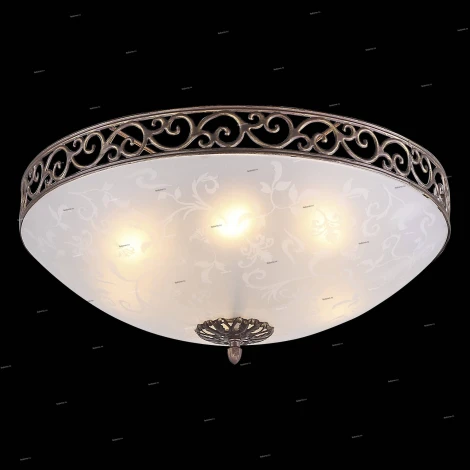 Потолочный светильник ST Luce Mezzo SL244.202.06