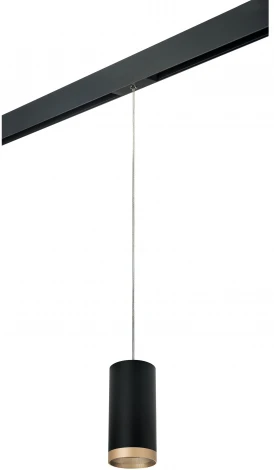 Трековый светильник однофазный 220V Lightstar Rullo PRORP648790 (круглые)