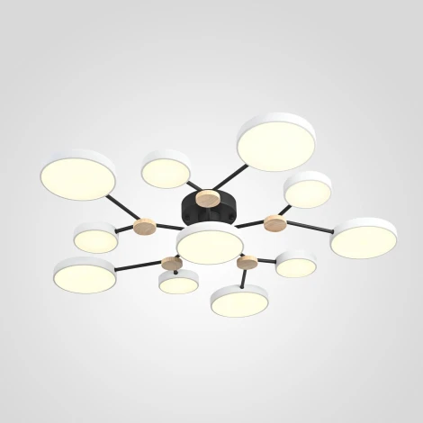 Потолочная люстра с пультом на штанге LED Lu Carte LC-11-1716