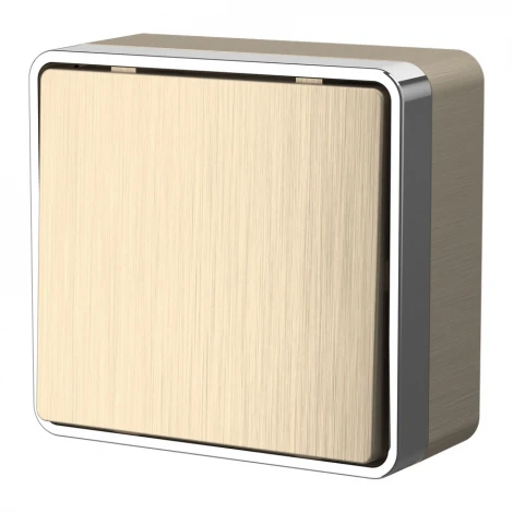 Выключатель одноклавишный проходной Gallant (шампань рифленый) Werkel W5012010 (a051041)