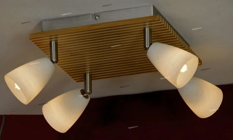 Потолочный светильник Lussole Monticello LSN-4801-04