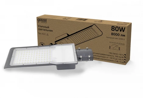 Уличный консольный светильник Gauss Avenue 629536380 (LED, 220V, IP65)