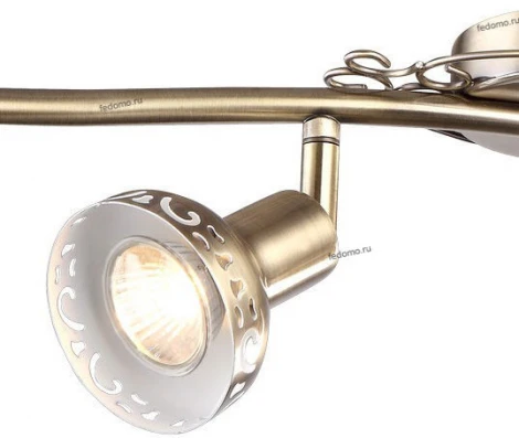 Спот Arte Lamp Focus A5219PL-4AB