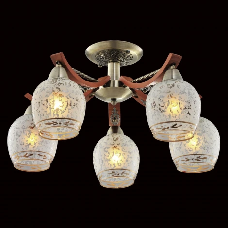 Потолочная люстра Citilux Vudi CL165153