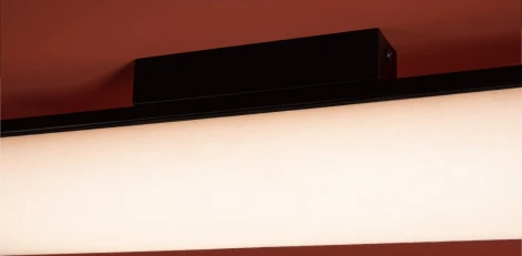 Потолочный светильник Freya Even FR5625CL-L20B