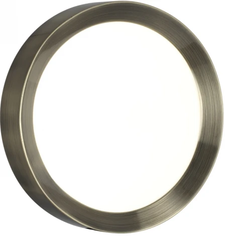 Настенно-потолочный светильник Odeon Light Lunor 4948/30CL