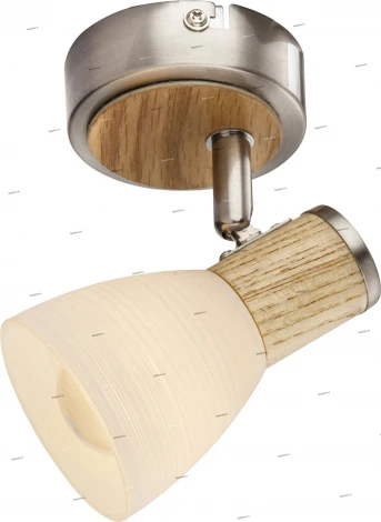 Спот Globo Gylfi 54352-1 (220V, круглые)