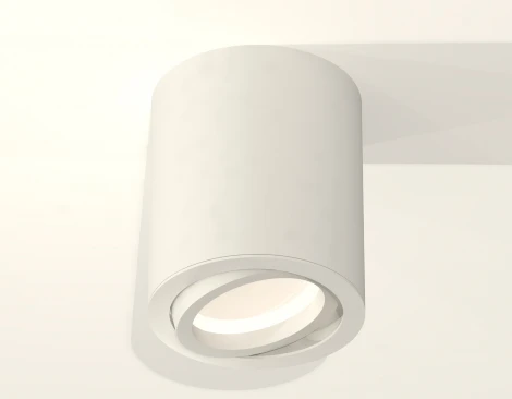 Накладной точечный светильник Ambrella Techno Spot XS7421001 (220V, круглые)