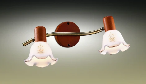 Спот Odeon Light Vega 1977/2W