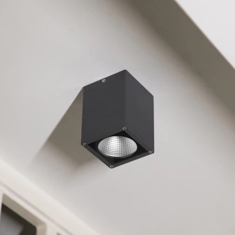 Потолочный светильник уличный светодиодный IP65 Natural Concepts Dwell NC-133474-DG (220V)