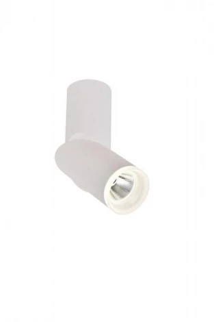Накладной точечный светильник Omnilux 100 OML-100209-10 (LED, 220V, круглые)