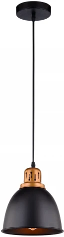 Подвесной светильник Arte Lamp Eurica A4245SP-1BK (220V, на проводе, круглые)