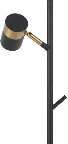 Торшер Freya Enzo FR5201FL-01B (220V)