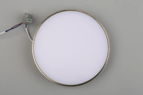 Потолочный светильник круглый Aployt Evon APL.0113.29.24 (LED, 220V, круглые)