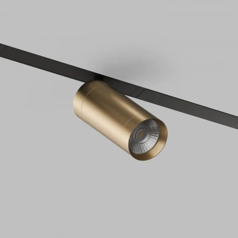 Трековый светильник Denkirs Smart Spot DK8020-BG (LED, 220V, управление смартфоном, голосовое управление, умный дом - Алиса)