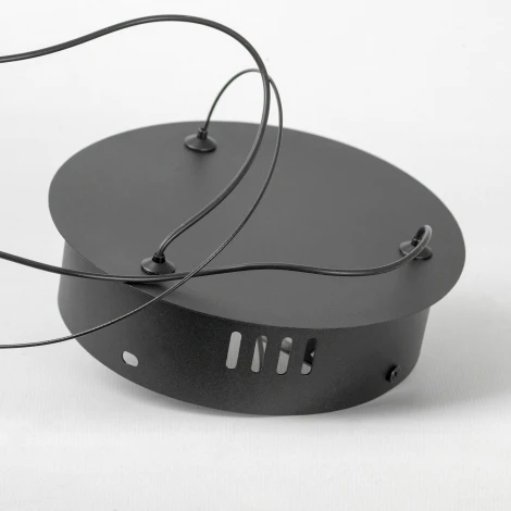 Подвесной светильник Lussole Dade LSP-7249 (LED, 220V, на тросе, кольцо)