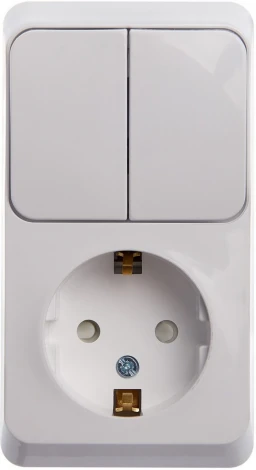Розетка накладная с заземлением с двухклавишным выключателем (белый) Systeme Electric BPA16-202B