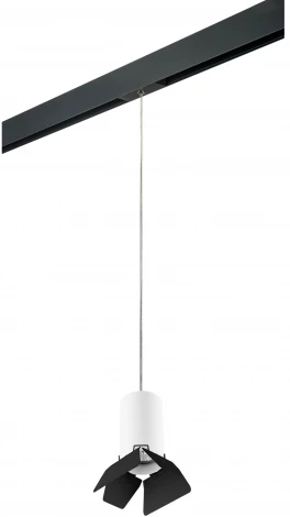 Трековый светильник однофазный 220V Lightstar Rullo PRORP436437