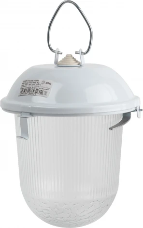 Подвесной светильник ЭРА НСП 02-100-001 (220V, IP54)