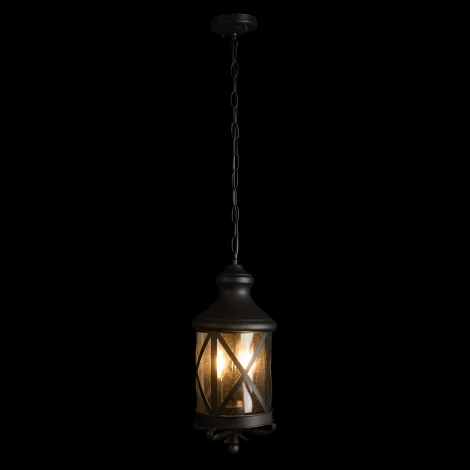 Подвесной уличный светильник Loft It Ferrara 100020P (220V, на цепи, IP44)