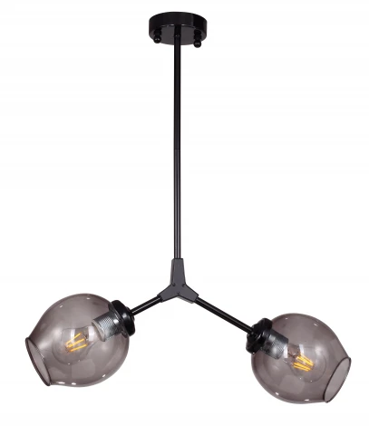 Потолочная люстра Favourite Bolos 1742-2P