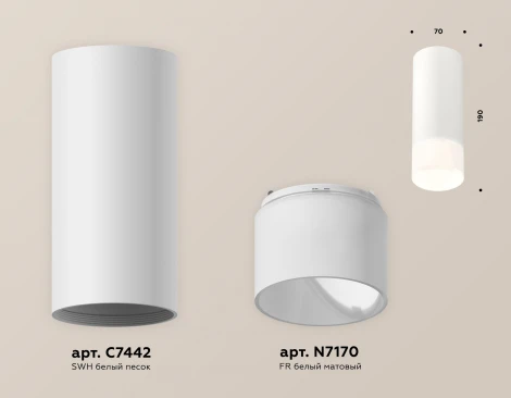 Накладной точечный светильник Ambrella Techno Spot XS7442016 (220V, круглые)