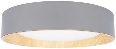 Потолочный светильник круглый светодиодный Loft It Coin 10202 Grey (220V, круглые)