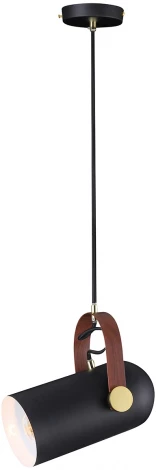 Подвесной светильник Natali Kovaltseva Loft Lux 77033-1P BLACK