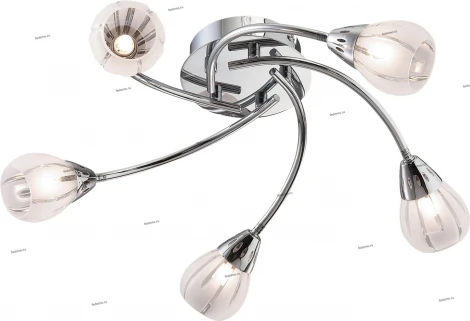 Потолочная люстра Odeon Light Posi 1613/5C