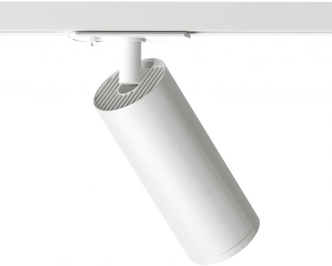 Трековый светильник Denkirs DK620 DK6202-WH (220V, круглые)