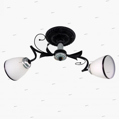 Потолочная люстра J-Light Gera 1520/2C