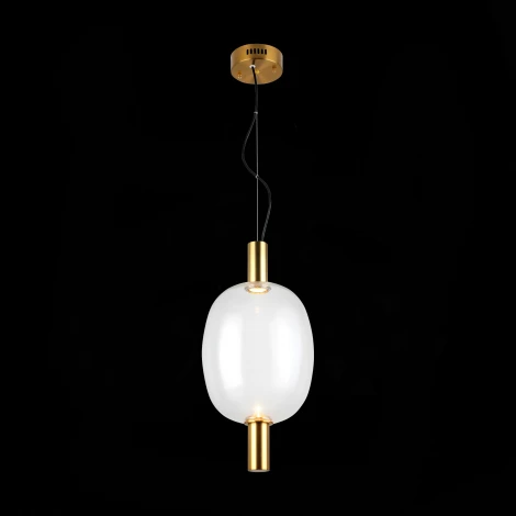 Подвесной светильник ST Luce Allenore SL1582.313.01 (LED, 220V, на тросе, шар)