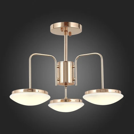 Потолочная люстра ST Luce Pratico SLE120.202.03