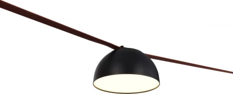 Трековый светильник ременной светодиодные 20Вт 48V Donolux Fiori DL18966R20W1B (круглые)