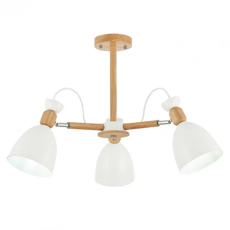 Потолочная люстра Evoluce Balcamo SLE103802-03 (220V)