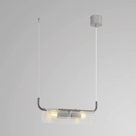 Подвесной светильник Lumion Toronto 8258/2 серебро/прозрачный, металл/стекло G9 2*20W 220V (на тросе)