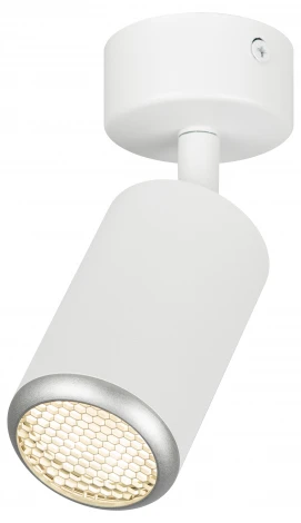 Спот ЭРА OL55 WH/SL OL55 WH/SL