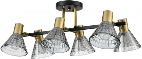 Потолочная люстра на штанге Lumion Anriya 8044/6C черный, латунь/дымчатый металл/стекло Е14 6*40W 220V