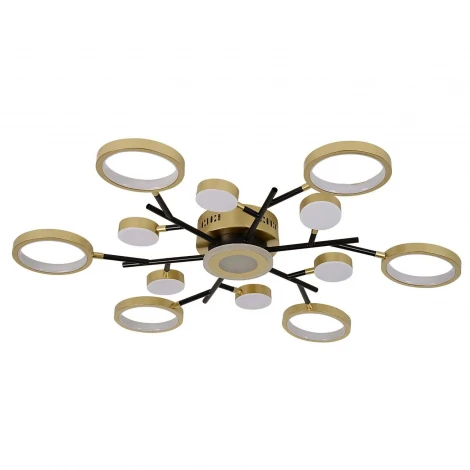 Потолочная люстра на штанге светодиодная с ПДУ F-Promo Hybrid 4686-13C