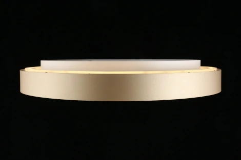 Потолочный светильник Virzhini APL.023.07.68