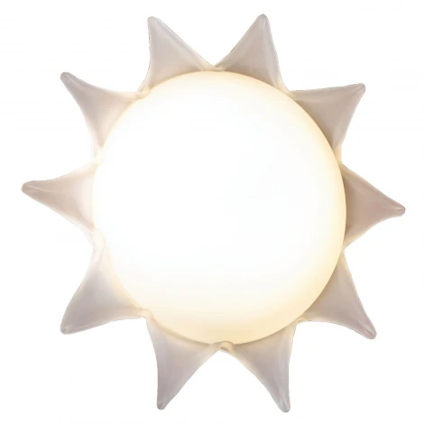 Настенно-потолочный светильник Lussole Meda LSA-1142-02