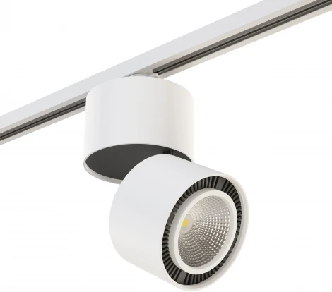 Трековый светильник Lightstar Forte Muro A1T213850 (LED, 220V, круглые)